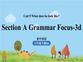 人教版英语七年级下册 Unit9第2课时（SectionA Grammar Focus-3d） PPT课件