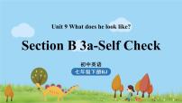 初中英语人教新目标 (Go for it) 版七年级下册Section B课文课件ppt