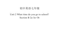 人教新目标 (Go for it) 版Section B教课课件ppt