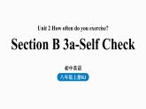 人教八上Unit2第五课时（SectionB3a-Self Check）1审课件PPT