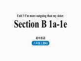 人教八上Unit3第三课时（SectionB1a-1e）课件PPT