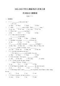 代词综合习题-人教版英语七年级上册