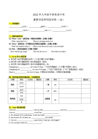 2022年九年级人教版下册英语中考-重要词组和句型讲练（二）学案