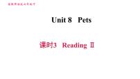 牛津译林版七年级下册Unit 8 PetsReading习题ppt课件