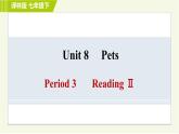 译林版七年级下册英语 Unit8 Period 3 Reading Ⅱ 习题课件