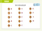 译林版七年级下册英语 Unit8 Period 3 Reading Ⅱ 习题课件