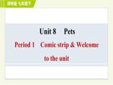 译林版七年级下册英语 Unit8 Period 1 Comic strip & Welcome to the unit 习题课件