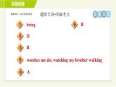 译林版七年级下册英语 Unit8 Period 1 Comic strip & Welcome to the unit 习题课件