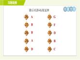 譯林版七年級(jí)下冊(cè)英語 Unit2 Period 2 Reading Ⅰ 習(xí)題課件