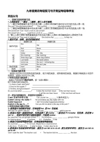 人教版九年级英语专题复习导学案：句子类型专题