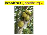譯林牛津英語(yǔ)8B Unit 8單詞講解（共45張PPT）