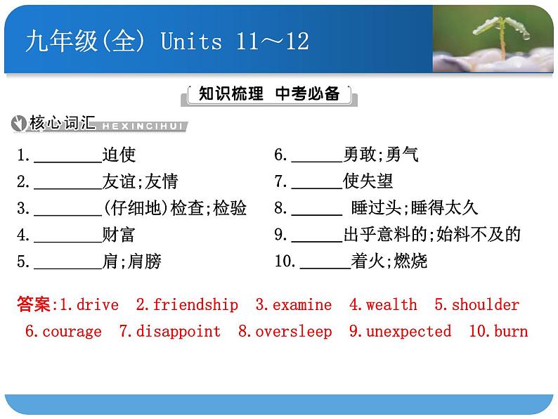 人教九年级英语Units 11～12课件PPT01