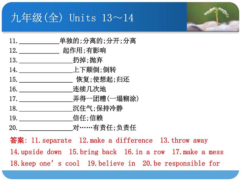 人教九年级英语Units 13～14课件PPT第2页