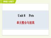 译林版七年级下册英语 Unit8 单元整合与拔高 习题课件