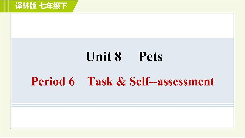 译林版七年级下册英语 Unit8 Period 6 Task & Self­assessment 习题课件第1页