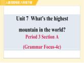 人教版八年级下册英语 Unit7 Period 3 Section A(Grammar Focus-4c) 习题课件
