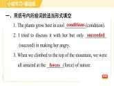 人教版八年级下册英语 Unit7 Period 2 Section A(3a-3c) 习题课件