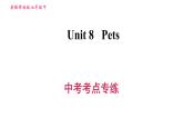 牛津譯林版七年級(jí)下冊(cè)英語(yǔ) Unit8 中考考點(diǎn)專(zhuān)練 習(xí)題課件