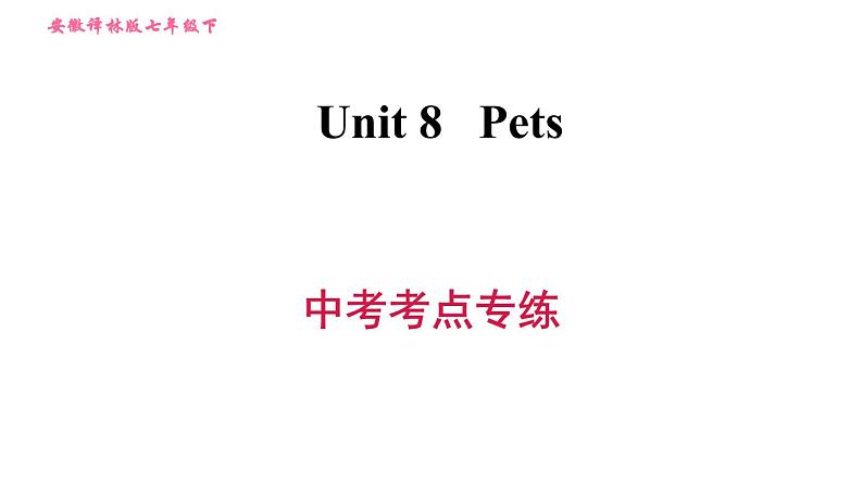 牛津译林版七年级下册英语 Unit8 中考考点专练 习题课件01