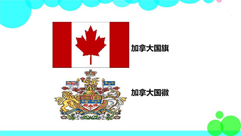 冀教英语七年级下册 Unit 7 Lesson 41 PPT课件+教案06