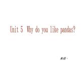 【新版】复习课件：七年级英语下册Unit 5 Why do you like pandas