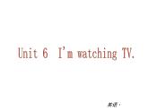 【新版】复习课件：七年级英语下册Unit 6 I'm watching TV