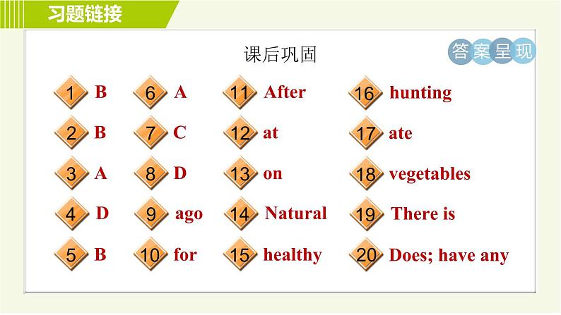 冀教版七年级下册英语 Unit7 Lesson 41 习题课件04