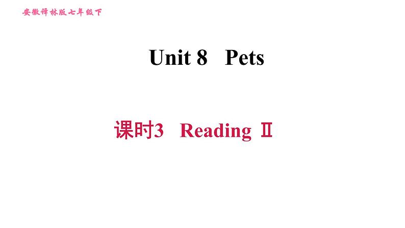 牛津译林版七年级下册英语 Unit8 习题课件01