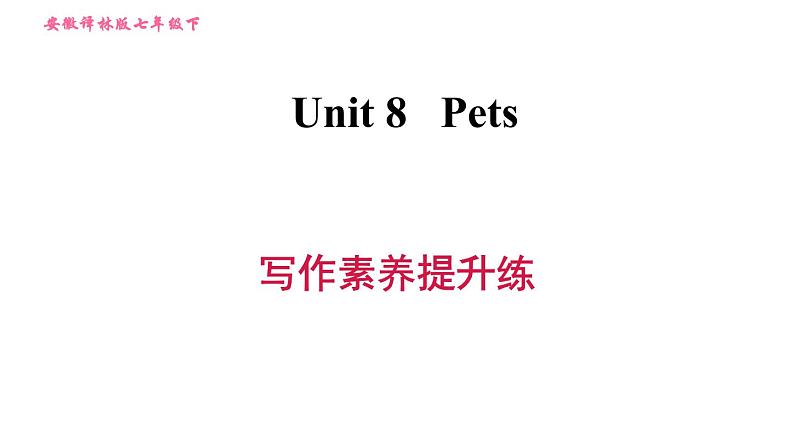 牛津译林版七年级下册英语 Unit8 习题课件01