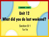 Unit 12 What did you do last weekend Section B (1a-2c)（课件+教案+练习+学案）