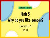Unit 5 Why do you like pandas Section B (1a-2c)（课件+教案+练习+学案）