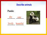 Unit 5 Why do you like pandas Section B (1a-2c)（课件+教案+练习+学案）