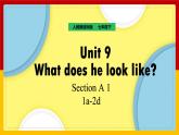Unit 9 What does he look like Section A (1a-1c)（课件+教案+练习+学案）