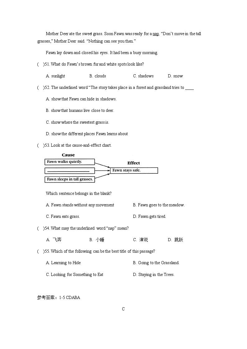 2022年牛津深圳版中考英语阅读理解专项训练及答案第3页
