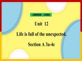 Unit 12 Life is full of unexpected. Section A 3a-4c（课件+教案+练习+学案）