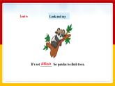 Unit5 Save the endangered animals Period 3 Grammar课件PPT