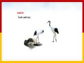 Unit5 Save the endangered animals Period 4 More practice&Culture corner课件PPT