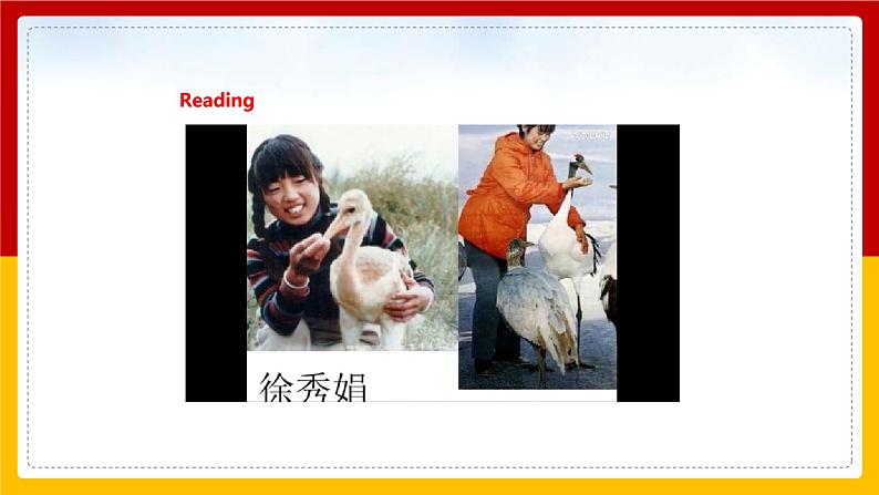 Unit5 Save the endangered animals Period 4 More practice&Culture corner课件PPT08