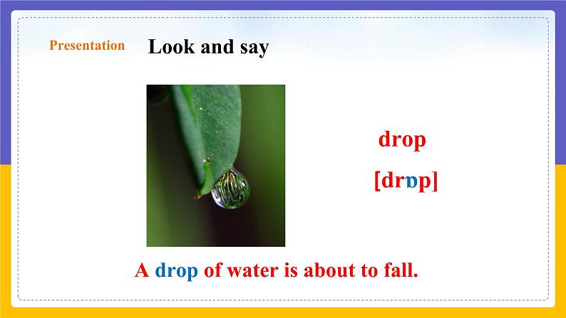 Unit 5 Water Period 1 Reading I课件+教案+学案+练习04