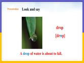 Unit 5 Water Period 1 Reading I课件+教案+学案+练习