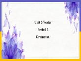 Unit 5 Water Period 3 Grammar课件+教案+学案+练习