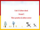 Unit 2 Culture shock Period 5 more practice & culture corner课件PPT