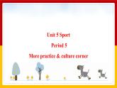 Unit 5 Sport Period 5 more practice & culture corner课件PPT
