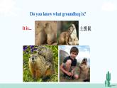 冀教英语八年级下册 Unit 1 Lesson 6 PPT课件+教案