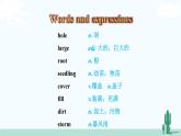 冀教英语八年级下册 Unit 2  Lesson 7 PPT课件+教案