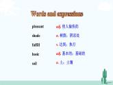 冀教英语八年级下册 Unit 2  Lesson 8 PPT课件+教案