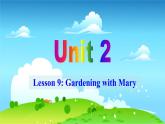 冀教英语八年级下册 Unit 2  Lesson 9 PPT课件+教案