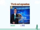 冀教英语八年级下册 Unit 2  Lesson 9 PPT课件+教案