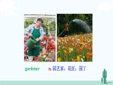冀教英语八年级下册 Unit 2  Lesson 9 PPT课件+教案