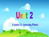 冀教英语八年级下册 Unit 2  Lesson 11 PPT课件+教案